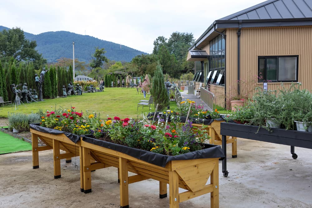 식물 친구 관찰하기